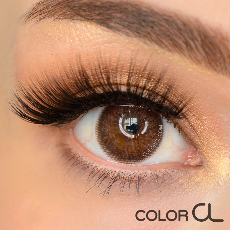 Halo brown